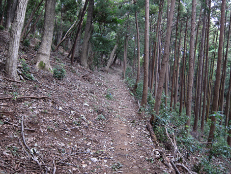20191017hike (183)